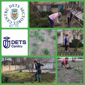 Angajații IET nr. 12 efectuează lucrări de îngrijire a teritoriului instituției